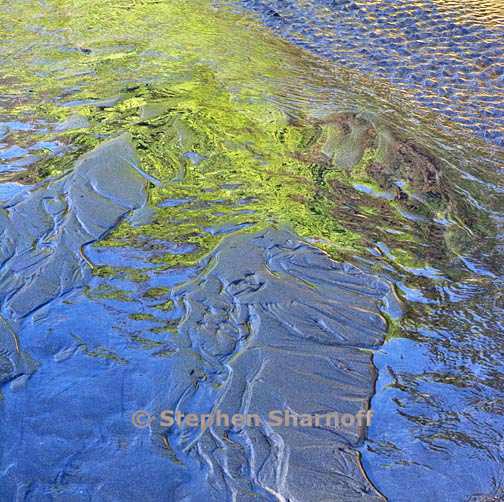 stream reflections 4 graphic